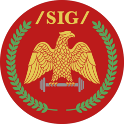 SIG logo.png