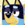 Co bluey icon.png