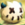 Wakfu icon.png