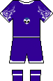 D goalkeeper kit 2016 winter cup.png