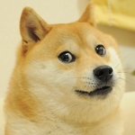 Doge.png