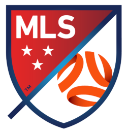 Mls + ayy logo.png