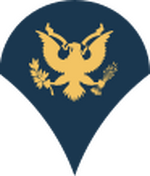 Army-USA-OR-04b.svg