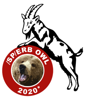 Sperb Owl 2020 asterisk logo.png