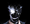 Black Suit Icon.png