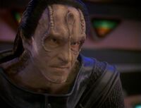 GULDUKAT.jpg