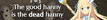 HannyBillboard32.png
