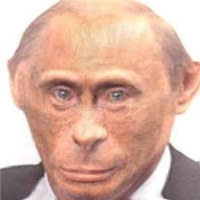 Monkey Putin.png