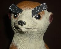 Vinylmeerkats.jpg