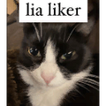 Thumbnail for version as of 15:33, 22 June 2023