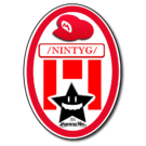 Nintyg logo.png