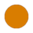 Orange Status Portrait.png