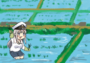 Paddy fields.png