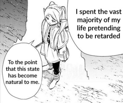 Pretending to be retarded frieren.jpg