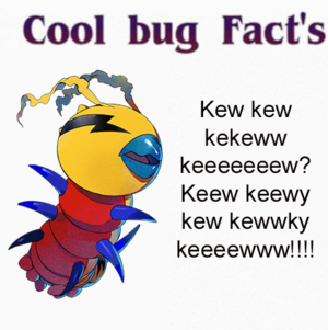 Cool buge facts.png