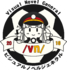 Vn logo.png