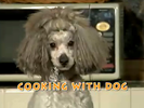 Cooking with dog.png