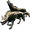 Wolves.png