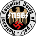 Nsg logo.png